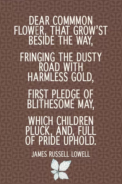 Dear Common Flower by 5by5collective canvas print