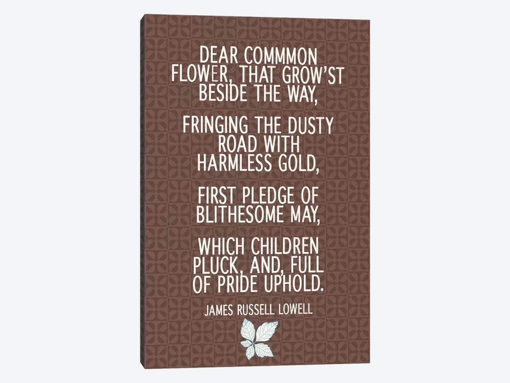 Dear Common Flower by 5by5collective 1-piece Canvas Art