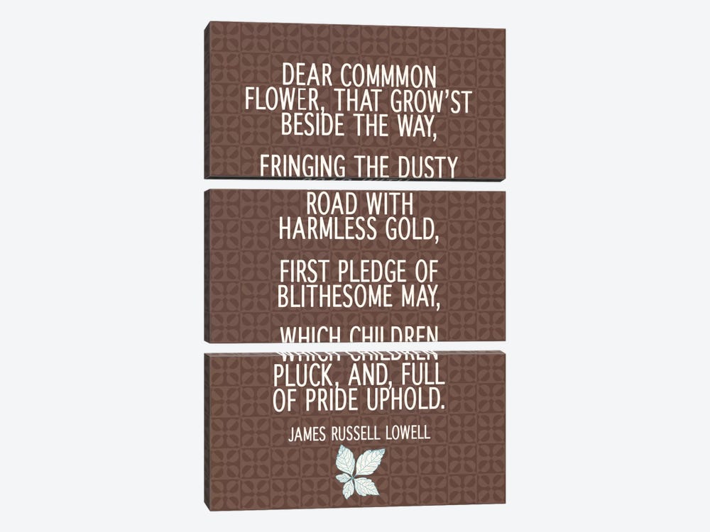 Dear Common Flower by 5by5collective 3-piece Canvas Art