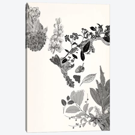 Flowers & Leaves (Black&White) Canvas Print #FLPN15} by 5by5collective Canvas Wall Art