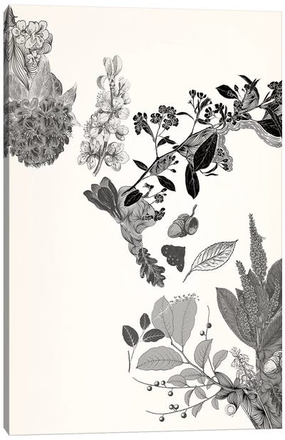 Flowers & Leaves (Black&White) Canvas Art Print - Floral Pattern Collection