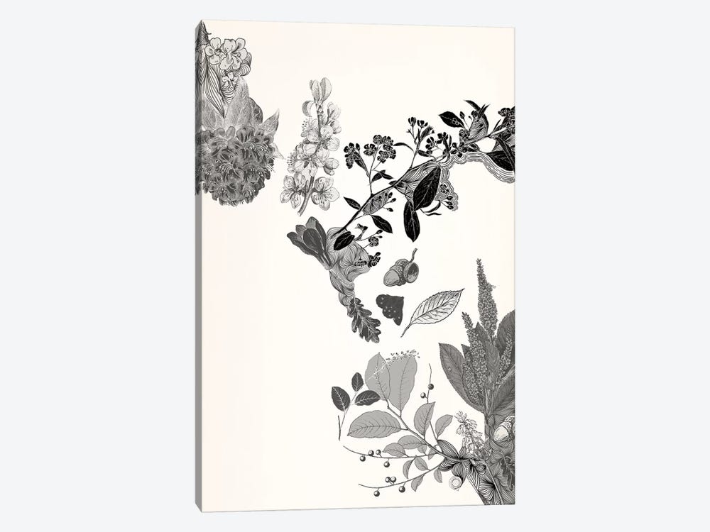 Flowers & Leaves (Black&White) by 5by5collective 1-piece Canvas Art Print