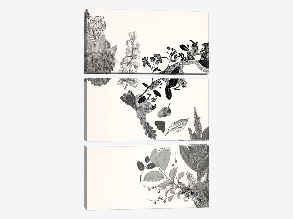 Flowers & Leaves (Black&White) by 5by5collective 3-piece Canvas Print