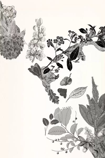 Black & White Florals: Flowers & Leaves (Black&White) by 5by5collective