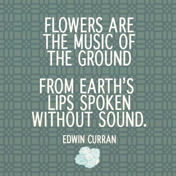 The Music of the Ground