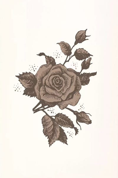 Brown Rose by 5by5collective canvas print