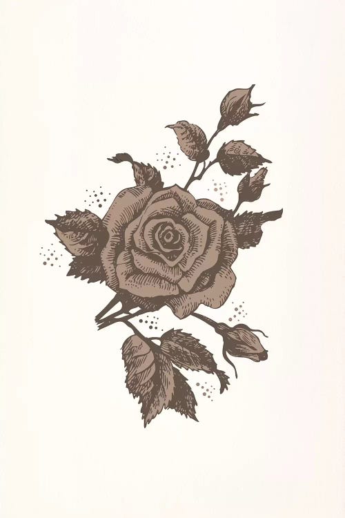 Brown Rose