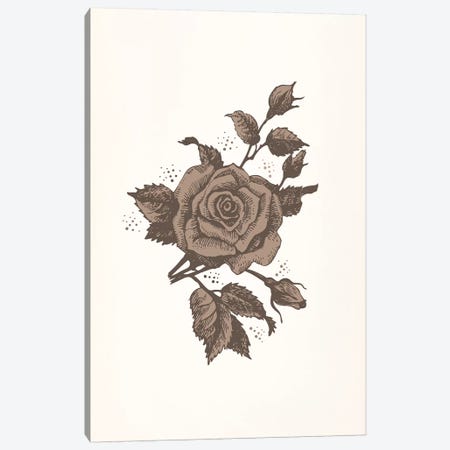 Brown Rose Canvas Print #FLPN18} by 5by5collective Canvas Art Print