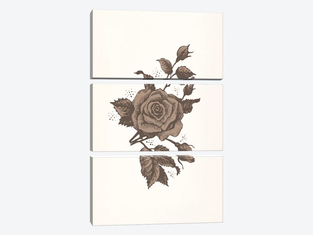 Brown Rose by 5by5collective 3-piece Canvas Artwork