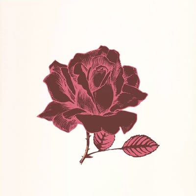Red Rose by 5by5collective canvas print