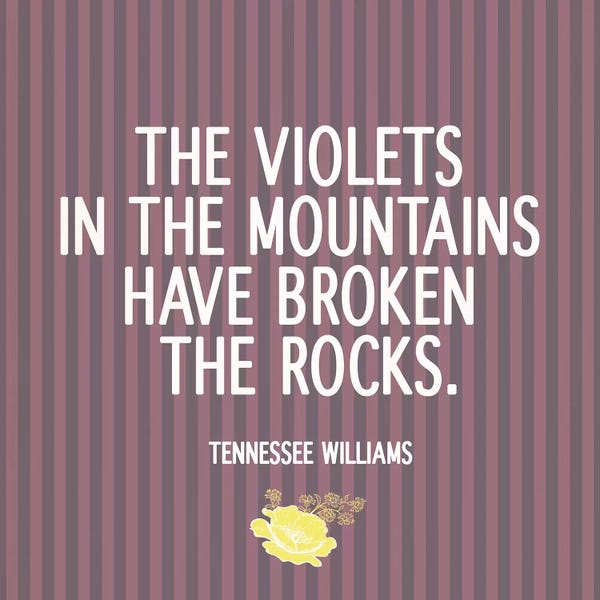 Violets: The Violets by 5by5collective