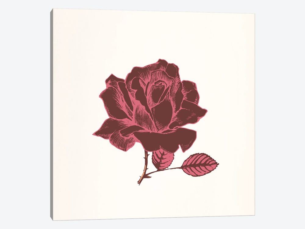 Red Rose by 5by5collective 1-piece Canvas Art