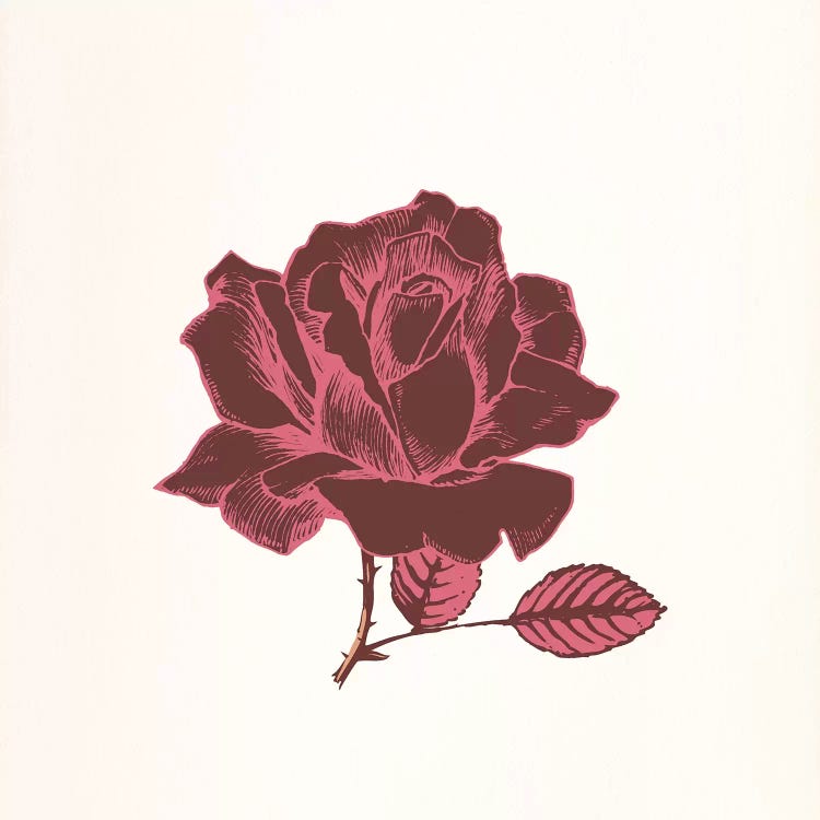 Red Rose by 5by5collective wall art