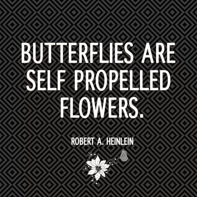 Butterflies are Flowers by 5by5collective canvas print