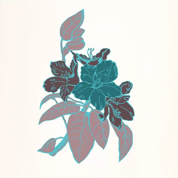 Hibiscuses: Flowers & Leaves (Vinous&Green) I by 5by5collective