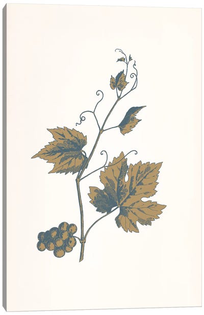 Rowan Sprig (Brown) Canvas Art Print - Floral Pattern Collection