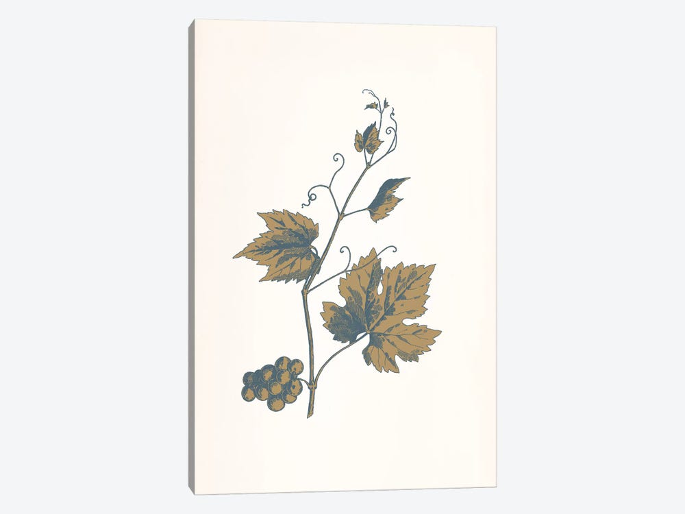 Rowan Sprig (Brown) by 5by5collective 1-piece Canvas Artwork