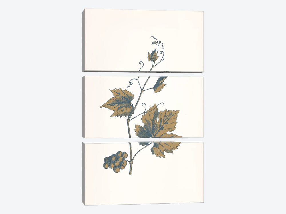 Rowan Sprig (Brown) by 5by5collective 3-piece Canvas Wall Art