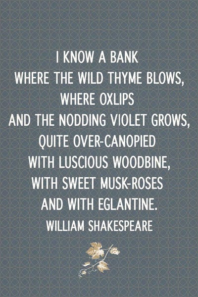 I Know a Bank by 5by5collective canvas print