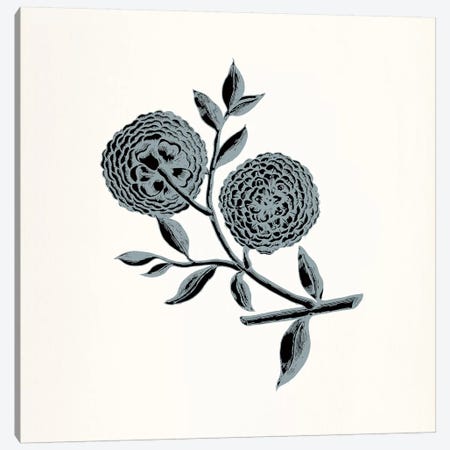 Chrysanthemum (Gray) Canvas Print #FLPN42} by 5by5collective Canvas Wall Art