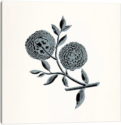 Chrysanthemum (Gray) Canvas Art Print - Floral Pattern Collection