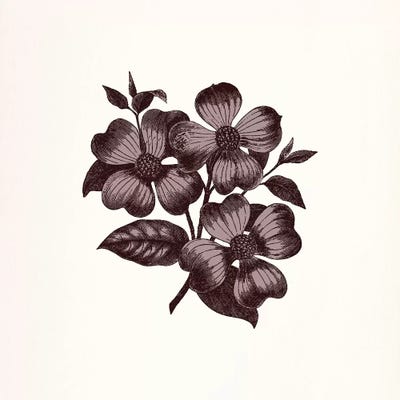 Flower (Vinous) by 5by5collective canvas print