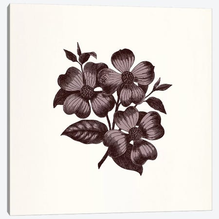 Flower (Vinous) Canvas Print #FLPN46} by 5by5collective Canvas Print