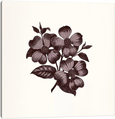 Flower (Vinous) Canvas Art Print - Floral Pattern Collection