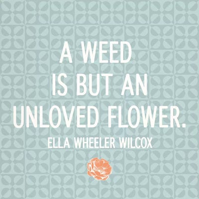 Unloved Flower by 5by5collective canvas print