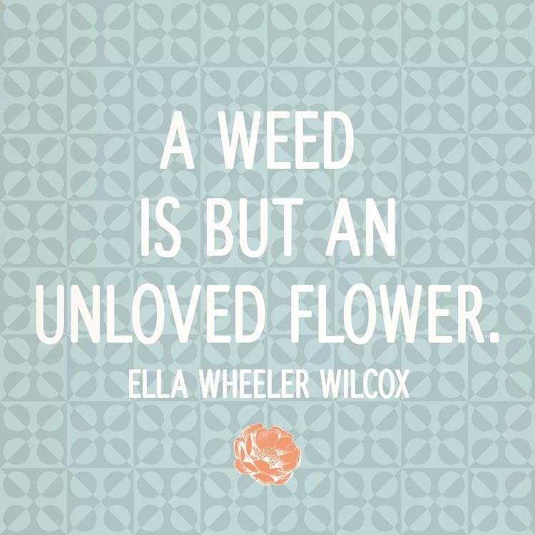 Unloved Flower by 5by5collective wall art