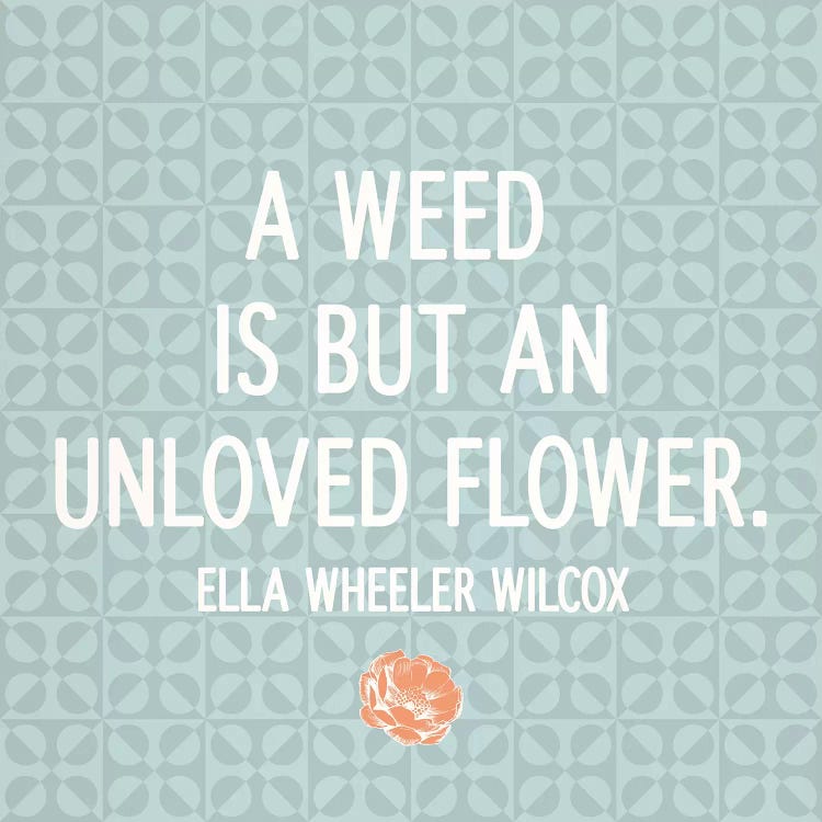 Unloved Flower by 5by5collective wall art