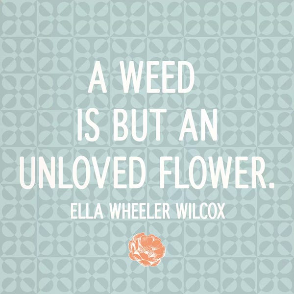 Unloved Flower