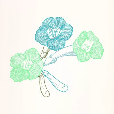 Violet (Green&Blue) by 5by5collective art print