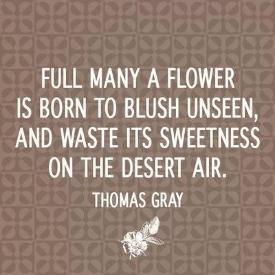 Born to Blush Unseen by 5by5collective canvas print