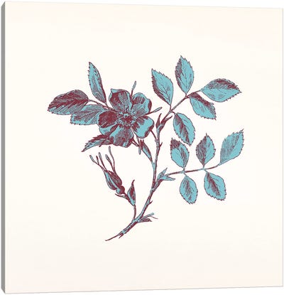 Blue Sprig Canvas Art Print - Floral Pattern Collection