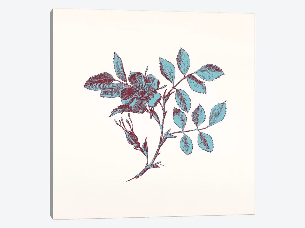 Blue Sprig by 5by5collective 1-piece Art Print