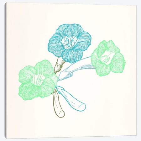Violet (Green&Blue) Canvas Print #FLPN6} by 5by5collective Canvas Artwork
