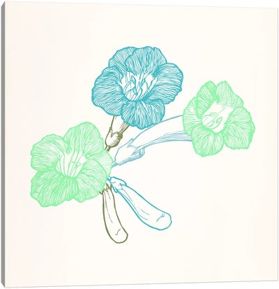 Violet (Green&Blue) Canvas Art Print - Floral Pattern Collection
