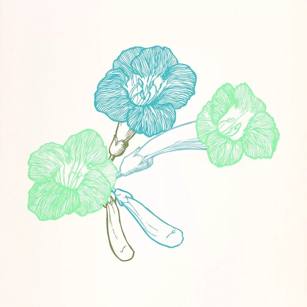 Violets: Violet (Green&Blue) by 5by5collective