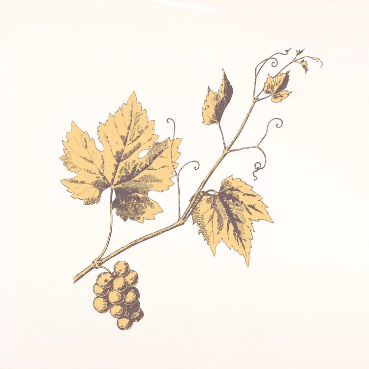 Rowan Sprig (Yellow) by 5by5collective wall art