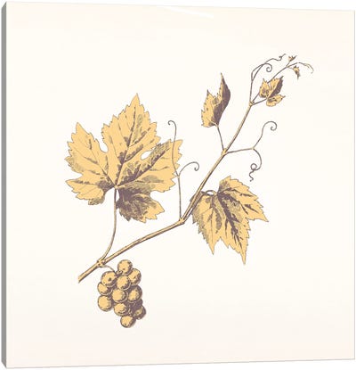 Rowan Sprig (Yellow) Canvas Art Print - Floral Pattern Collection