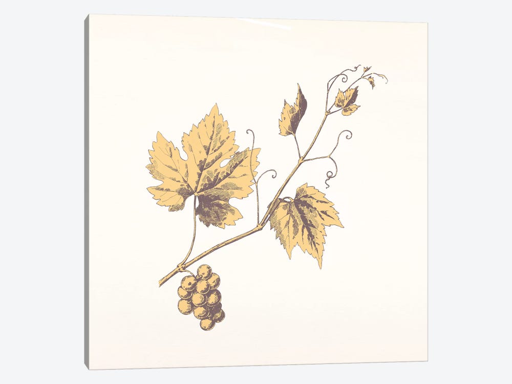 Rowan Sprig (Yellow) by 5by5collective 1-piece Canvas Wall Art