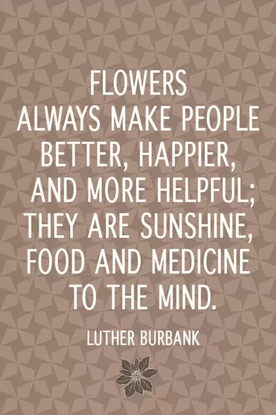 Flowers Are Happiness