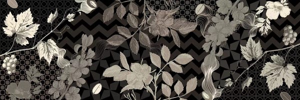 Decorative Elements: Flowers & Ornaments (Black&White) by 5by5collective
