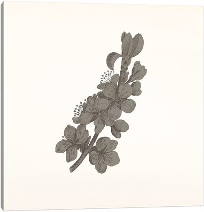 Flowers (Dark Gray) Canvas Art Print - Floral Pattern Collection