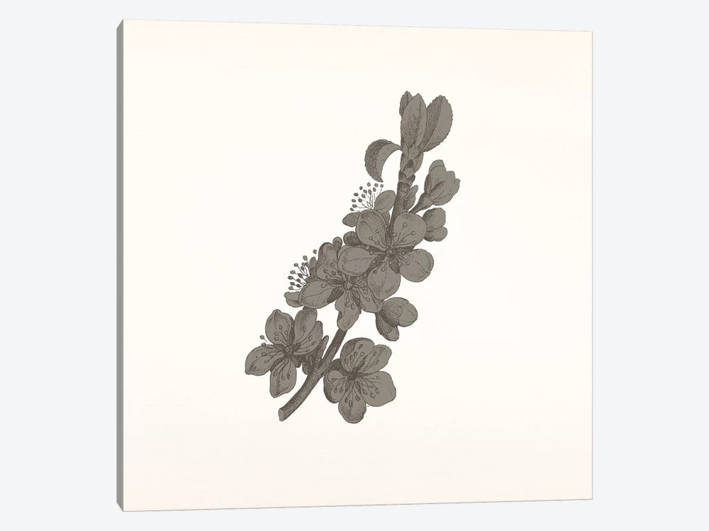 Flowers (Dark Gray) by 5by5collective 1-piece Art Print