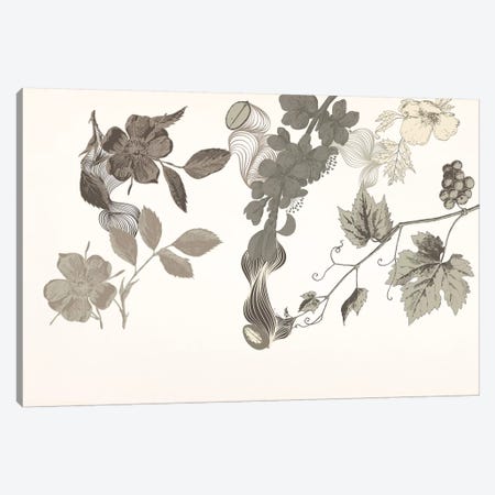 Flowers of No Colors Canvas Print #FLPN83} by 5by5collective Canvas Artwork