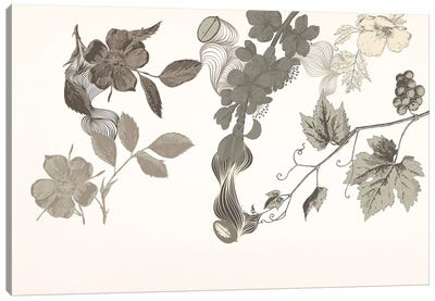 Flowers of No Colors Canvas Art Print - Grape Art