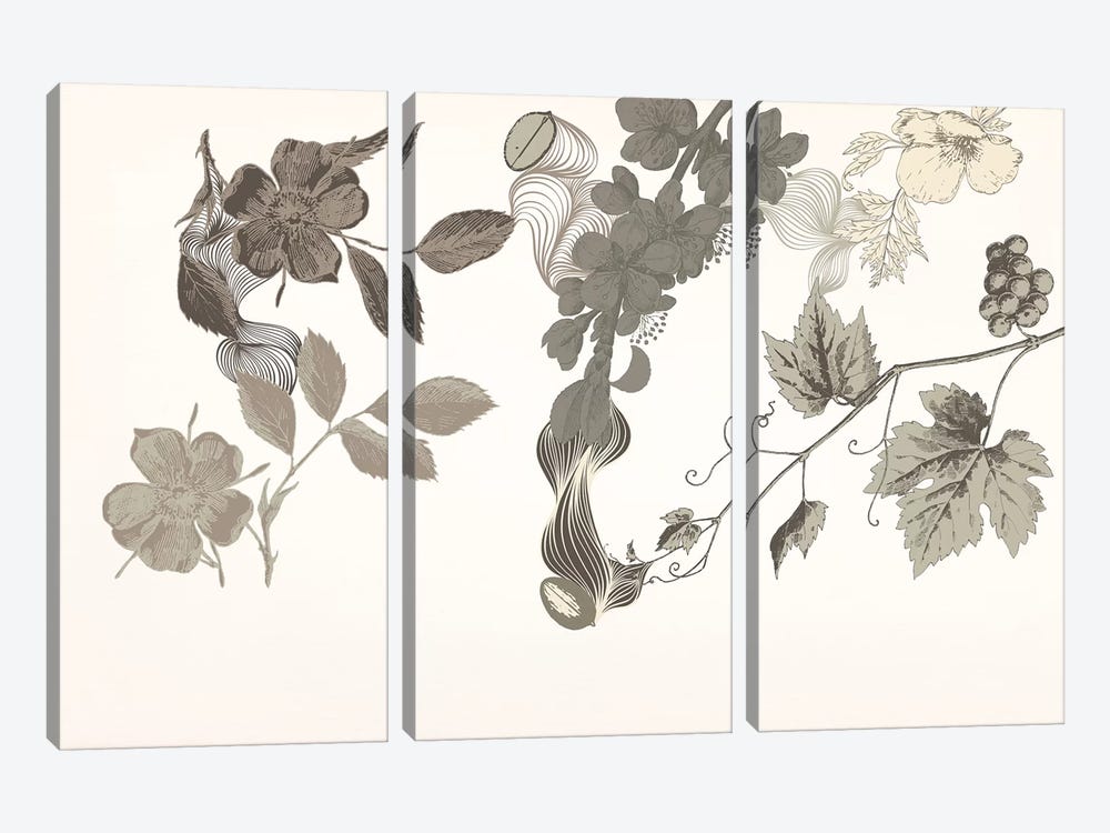 Flowers of No Colors by 5by5collective 3-piece Canvas Artwork