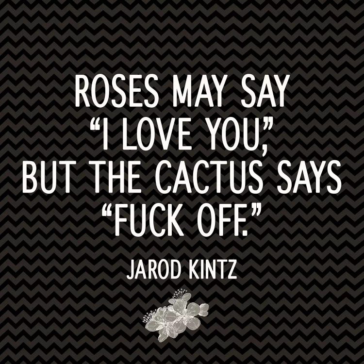 Roses vs Cactus